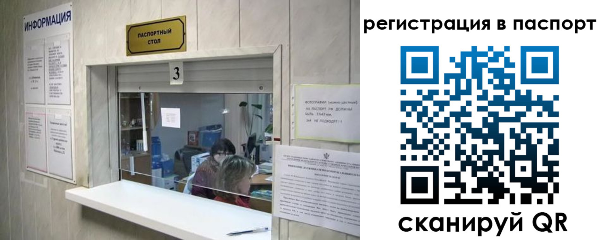 прописка поиск в Мурманске